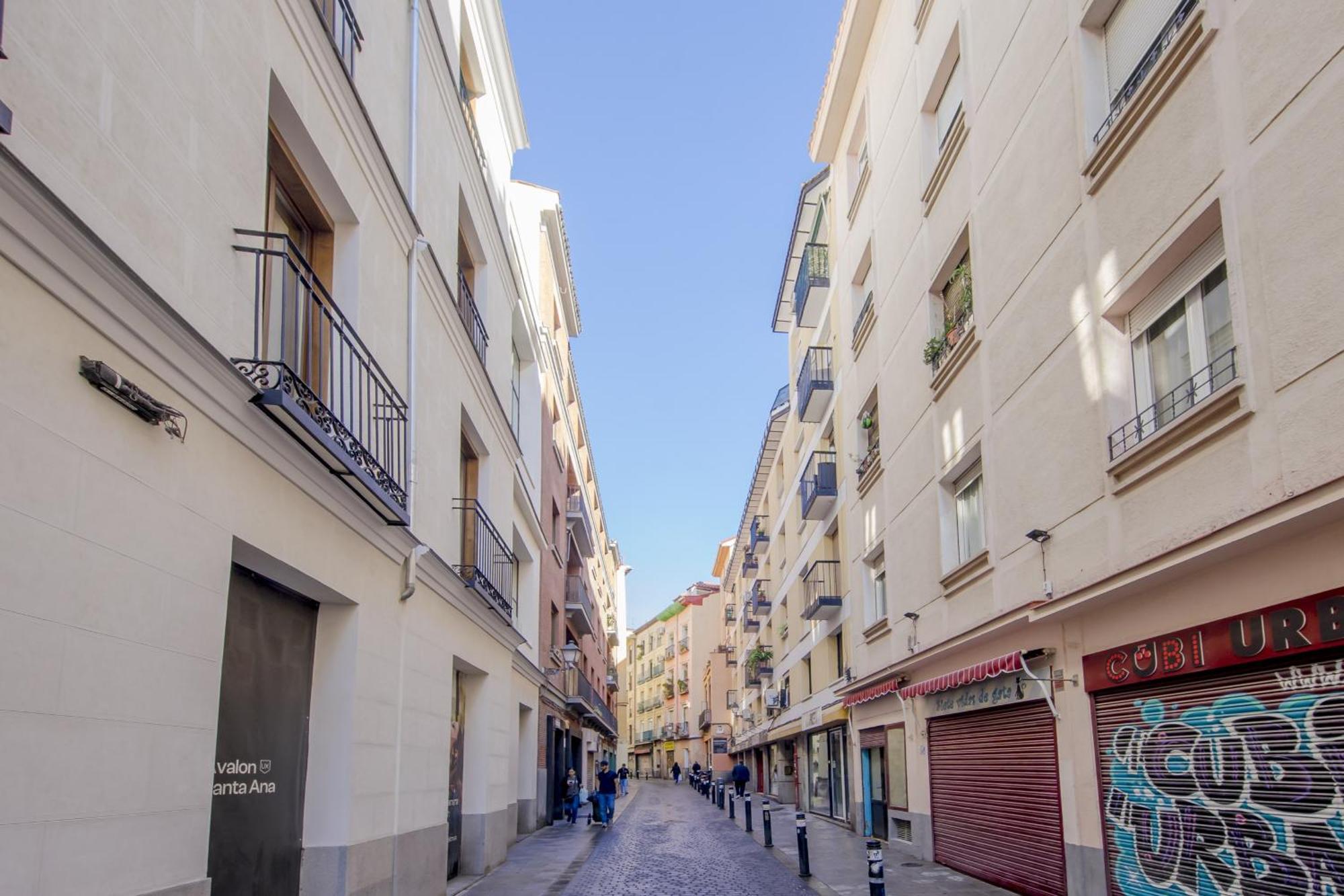 Encantador Piso En La Latina - Madrid Centro, Madrid